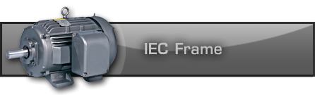 IEC Frame-AC button