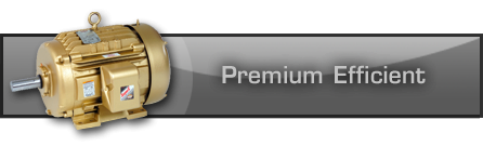 Premium Efficient-AC button