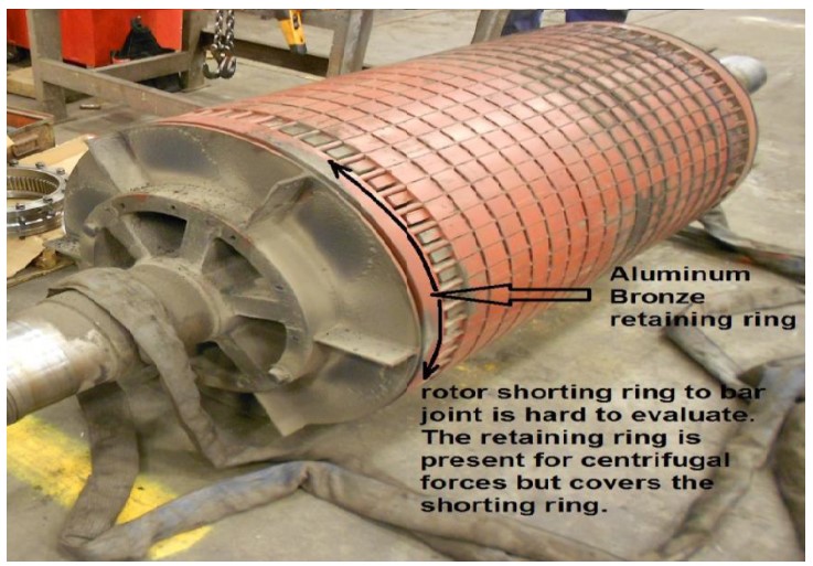Aluminum bronze retaining ring and rotor shorting ring