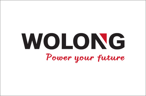 Wolong logo